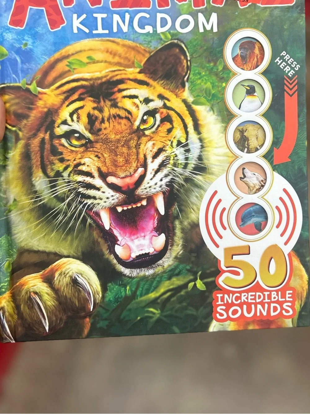Children Audio Panel books ABC , animals, colors etc